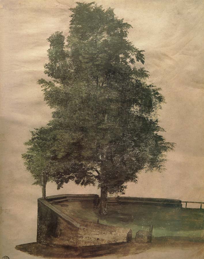 Albrecht Durer Linden Tree on a Bastion